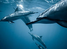 中国足协官方公布73人禁足名单